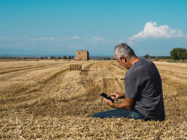 Senior farmer sitting on straw bale looking at mobile phone in field.