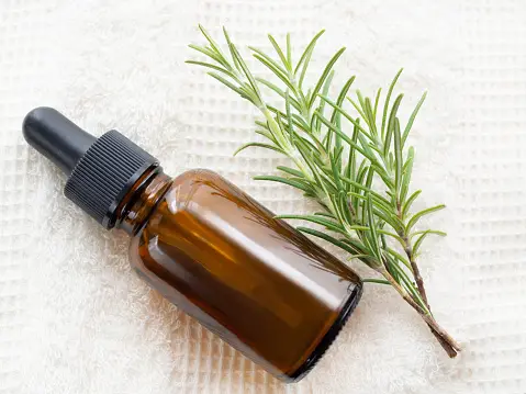 Rosemary Oil Pictures | Download Free Images on Unsplash