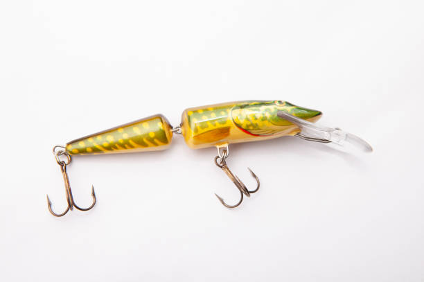 istock image of fishing bait white background 1323363211