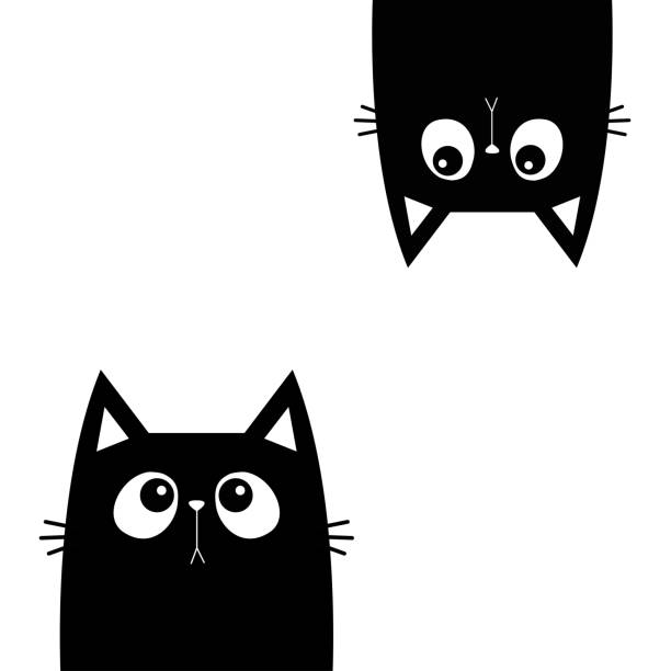 3,000+ Two Cats Stock Illustrations, Royalty-Free Vector Graphics