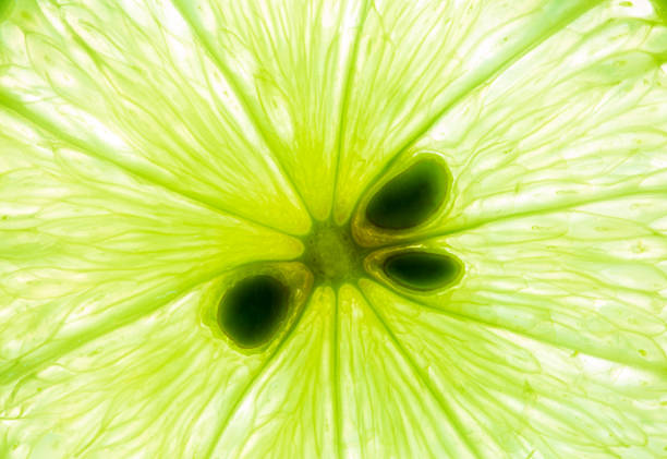 istock Macro food collection - Lime texture,Ripe lime closeup with rind on background 1323364701