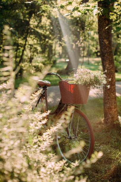 istock womens bicycle flowers basket glade forest rays 1323365391