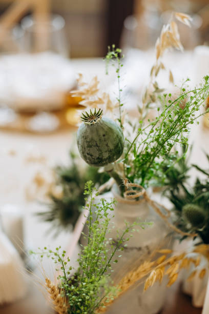 istock decor floral addition poppy green herbal climbing 1323365395
