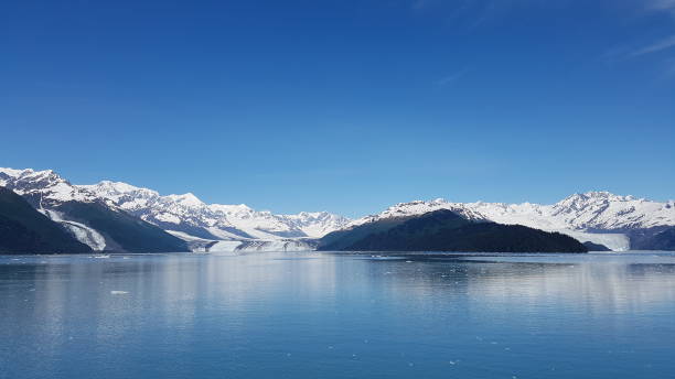 istock Alaska Glacier panorama. wild magical nature 1323367634