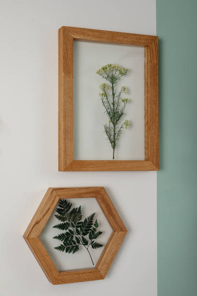 istock Dry flowers in a frame. walls with botanical leaves. Eco-friendly boho decor. 1323368243
