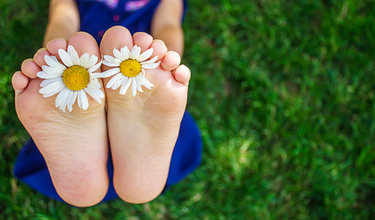 Children's feet with chamomile on green grass. Selective focus. nature