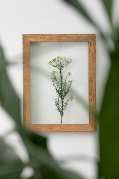 istock Dry flowers in a frame. walls with botanical leaves. Eco-friendly boho decor. 1323369273
