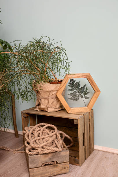 istock Dry flowers in a frame. walls with botanical leaves. Eco-friendly boho decor. 1323369538