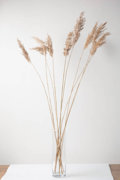 istock dry meadow grass in a vase. wheat as an option for home decor 1323369635