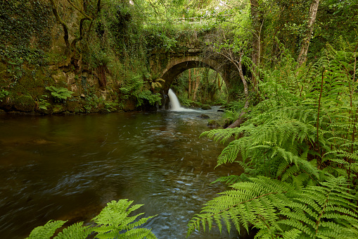 Old bridge over a small river called O peilan, in the area of Galicia, Spain.