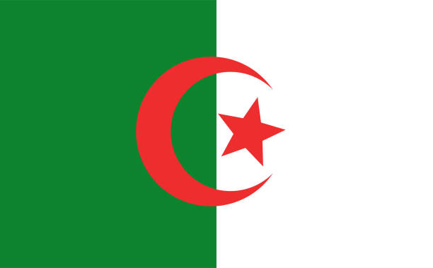 National flag of the Algeria. Vector illustration. National flag of the Algeria. Vector illustration. algeria stock illustrations