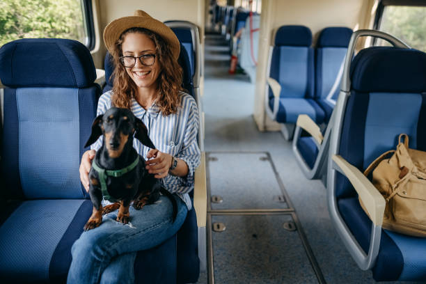 Traveler on a journey with train