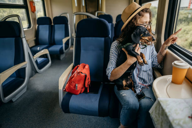 istock Traveler on a journey with train 1323372916