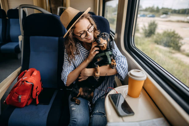 istock Traveler on a journey with train 1323373093