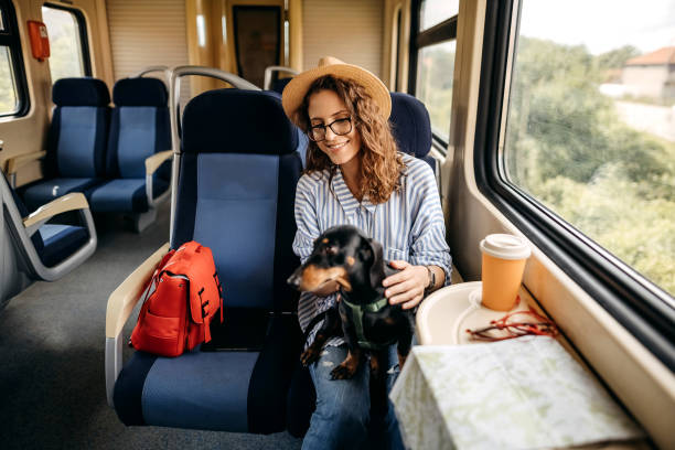 istock Traveler on a journey with train 1323373149