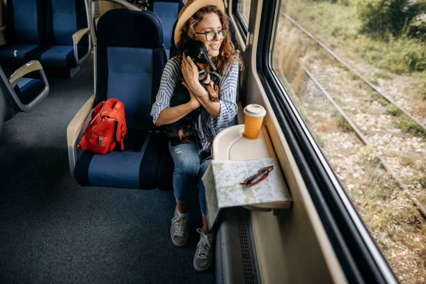 istock Traveler on a journey with train 1323373238
