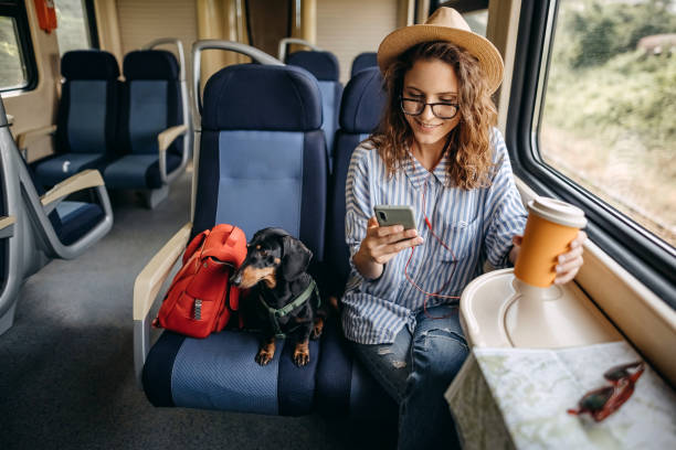 istock Traveler on a journey with train 1323373250
