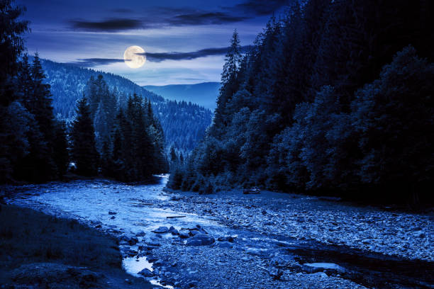 istock mountain river landscape in summer at night 1323373553