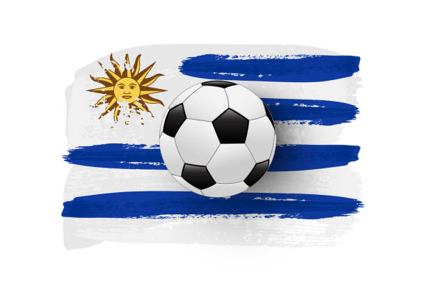 реалистичный футбольный мяч на флаге уругвая сделан из мазок кистью. векторный элемент дизайна футбола. - uruguay stock illustrations