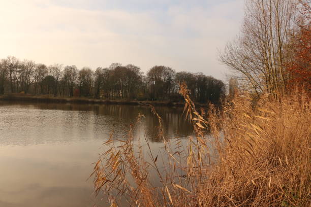 istock View of the Emssee in Warendorf 1323380734