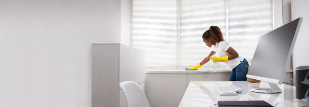 istock Woman Cleaning The Window Sill In Office 1323382999