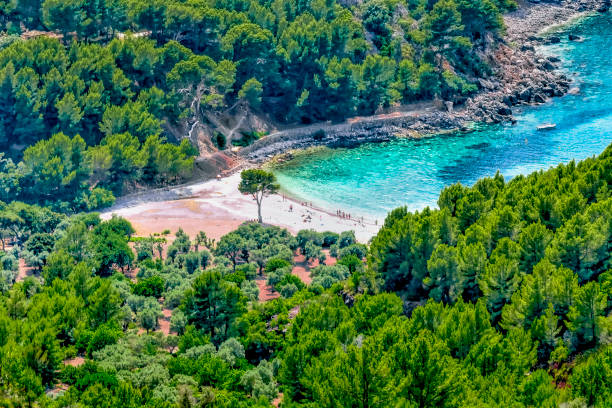 cala tuent, balear adası mayorka'nın kuzeybatısında taşlı bir plaja sahip bir koydur. tramuntana dağlarının en yüksek dağı olan puig major'un altındaki escorca belediyesinde yer almaktadır. - wald stok fotoğraflar ve resimler