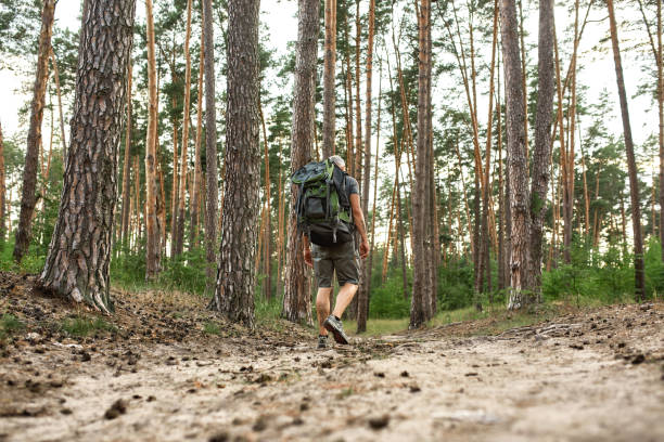 istock Rear view of mature caucasian man walking along path 1323387264