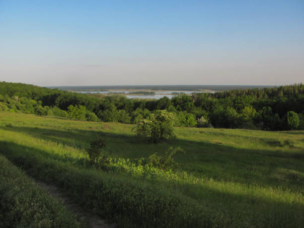 istock landscape: green trees and a river far away 1323389279