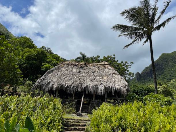 istock Small Thatched House in the Mountain 1323389413