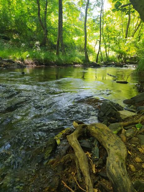 istock a weekend trip in turkey gorgeous forests and river postcard images 1323390480