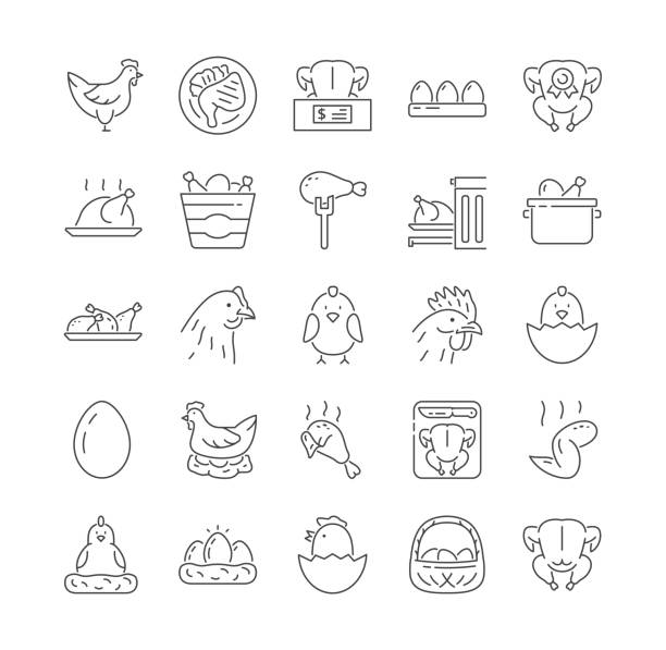 Collection of Chicken, turkey and poultry icons Collection of Chicken, turkey and poultry icons. Poultry farm, eggs, restaurant and others. Set of minimal style vector illustrations or pictograms isolated on white background nuggets heat stock illustrations