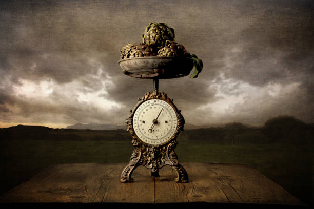 still life photography of group of ancient objects