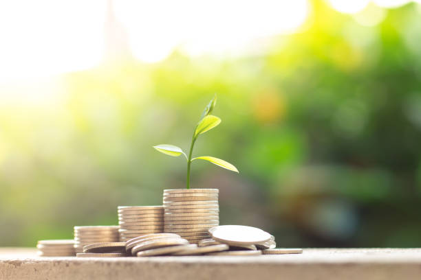 The tree is growing on top a pile of coins with blurred green nature background, Money growing concept and sustainable investment, Business success and financial concept, Banking and economy idea el árbol está creciendo en la parte superior de una pila de monedas con fondo de naturaleza verde borrosa, concepto de crecimiento del dinero y la inversión sostenible, el éxito empresarial y el concepto financiero, la banca y la idea de la economía