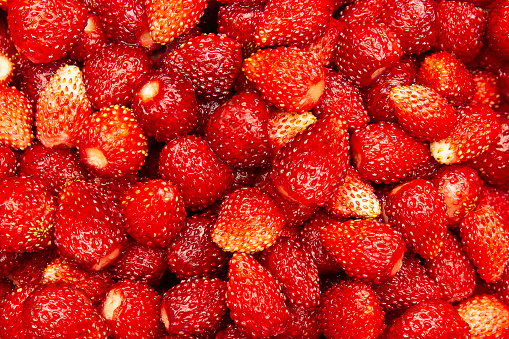 Fresh wild strawberries close-up, fruit background, top view. Summer food, delicious meal, copy space