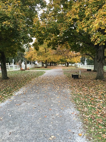 Fall Kentucky day at Shaker Village