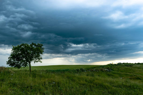 Sky of Tabanera de Cerrato