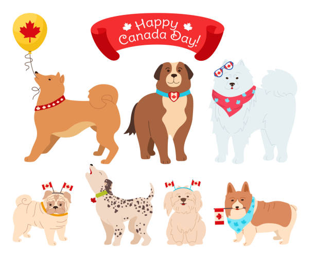 illustrazioni stock, clip art, cartoni animati e icone di tendenza di set di cani canada day animale domestico patriottico bandiera canadese - dog patriotism flag politics