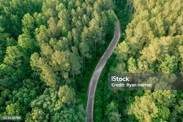 Aerial Of Running Walking And Biking Trail In Forest Stock Photo - Download Image Now
