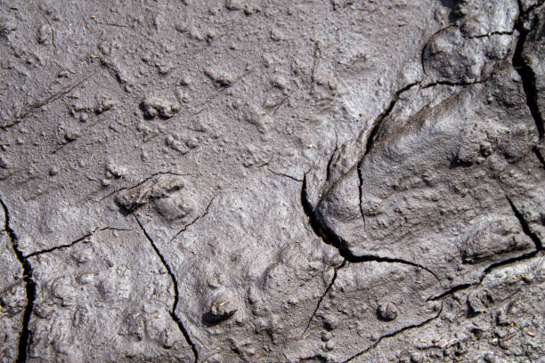istock Cracks in the ground after rain. Dried earth with cracks 1323422408