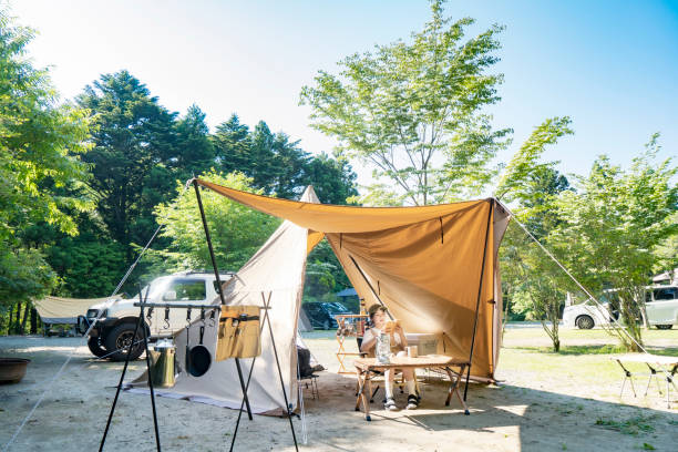 junge frau liest ein buch - campingstuhl stock-fotos und bilder