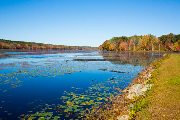 istock Fall foliage and dam at Goodwin State Forest in Connecticut. 1323430168