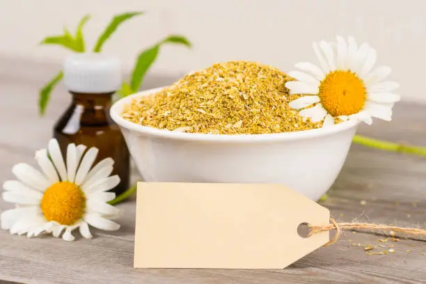 dry and fresh camomile flowers, essential oil in brown bottle, blank craft paper card, alternative medicine or spa background