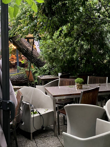 istock fallen tree over the tables of a terrace after a big storm 1323436258