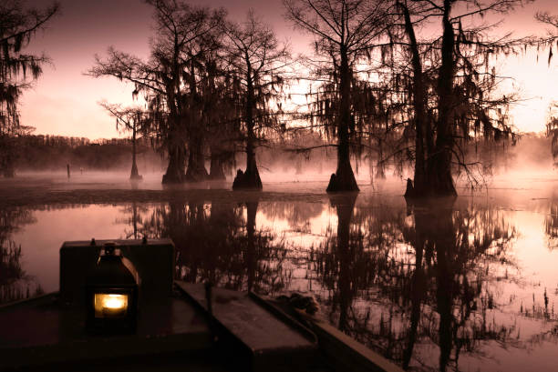 istock Mysterious swamp at dawn 1323440193