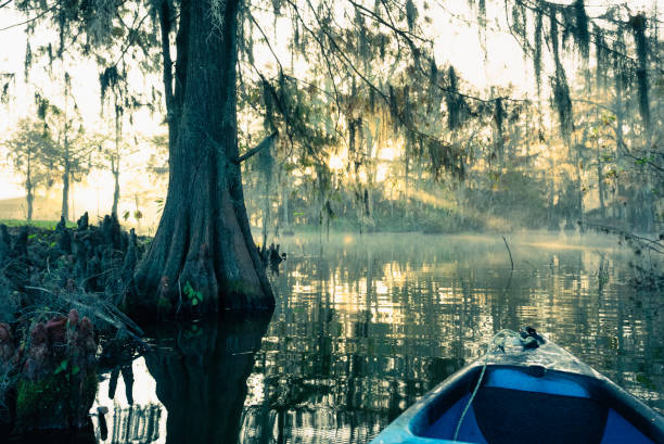 Lake Fausse Pointe State Park in Louisiana