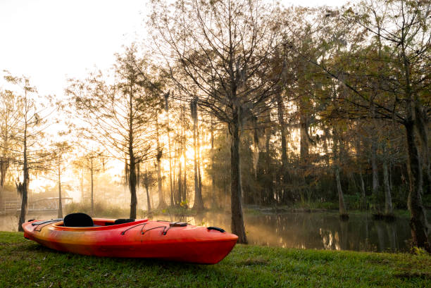 Getting ready for kayaking at Lake Martin, a bald cypress swamp, Breaux Bridge, Louisiana, USA