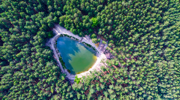 istock Aerial. Beautiful forest lake. Top view from drone. 1323443394