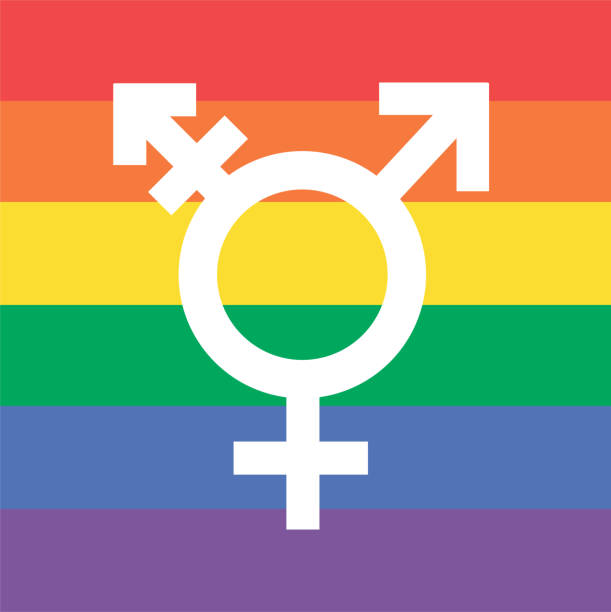 ilustrações de stock, clip art, desenhos animados e ícones de lgbt. rainbow transgender symbol - colorful rainbow transgender symbol with horizontal stripes. - sexual issues sexual activity couple tan
