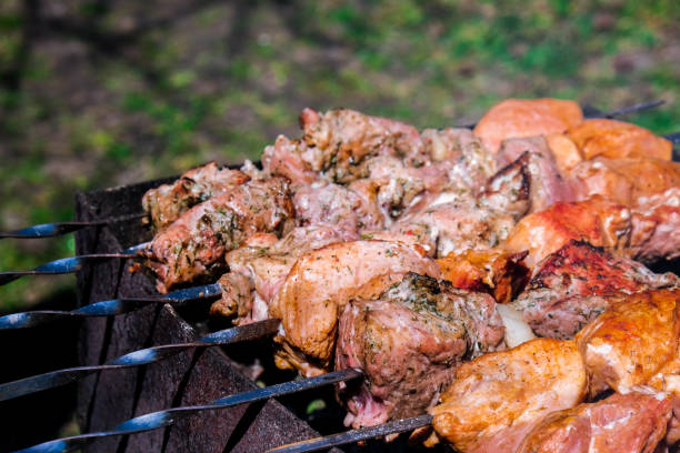 istock Meat is fried on coals. Camping, barbecue on the grill. Selective focus. Fried meat on charcoal BBQ 1323444950