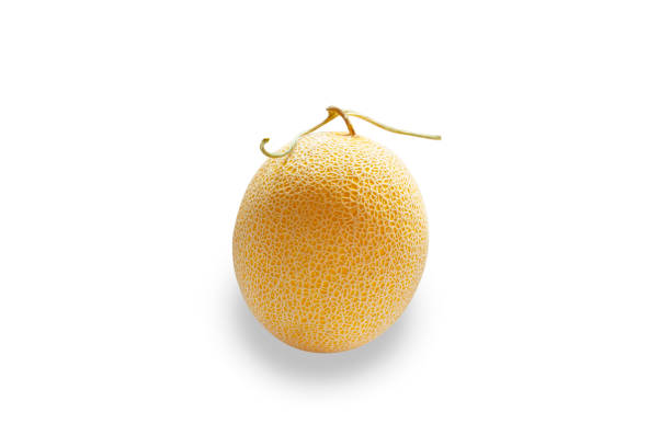 istock Melon or Cantaloupe on white background 1323446913
